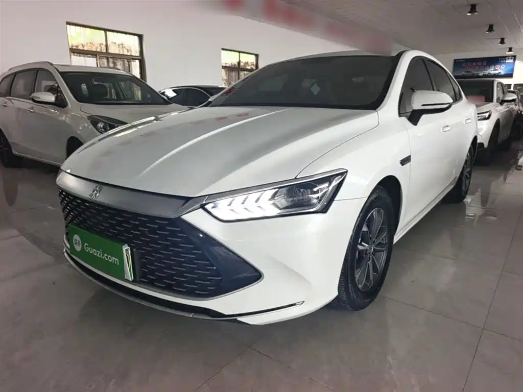 BYD Qin PLUS 2023 — фото 2
