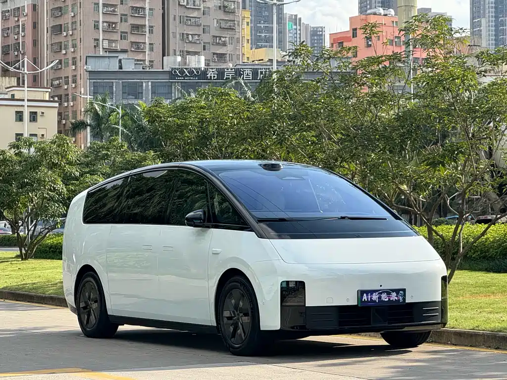 Li Auto Li MEGA 2025