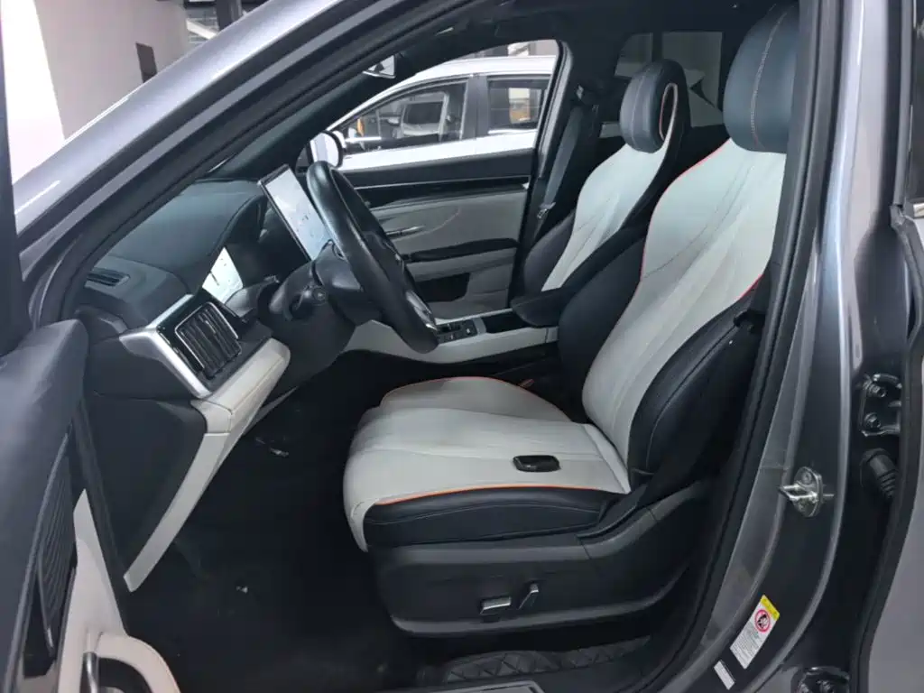BYD Song PLUS New Energy 2023 — фото 15