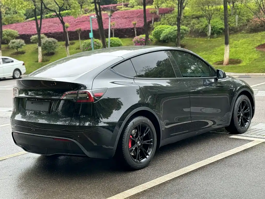 Tesla Model Y 2023 — фото 5