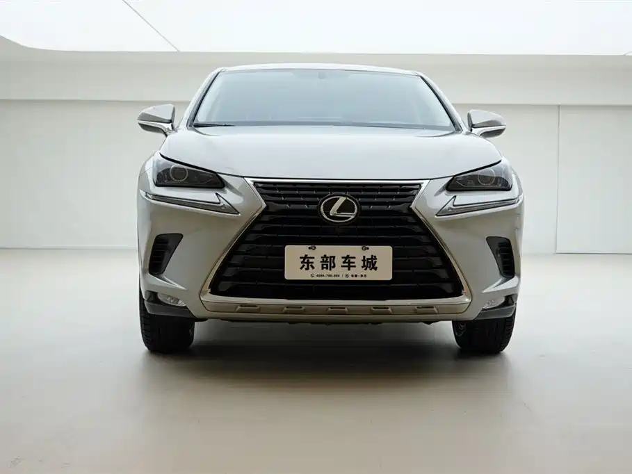 Lexus NX 2019 — фото 2