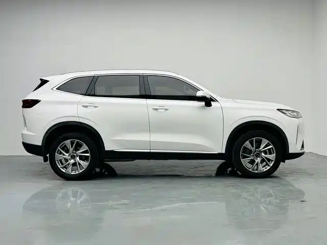 Haval H6 2021 — фото 9