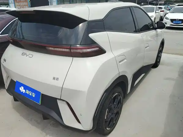 BYD Seagull 2024