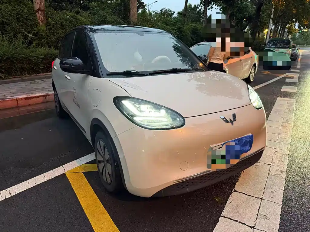 Wuling Bingo 2024