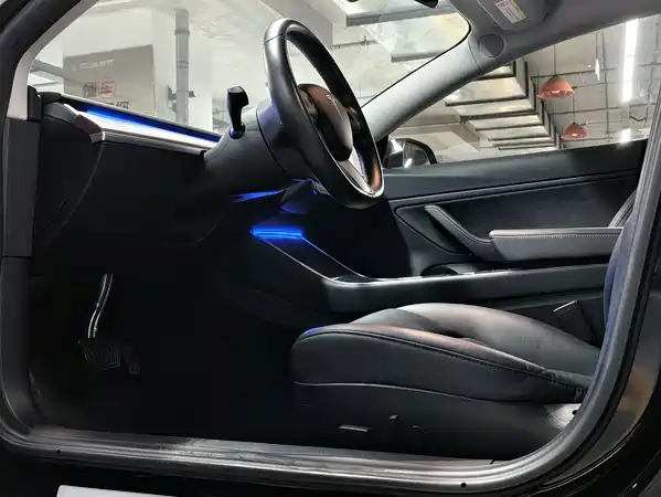 Tesla Model 3 2019