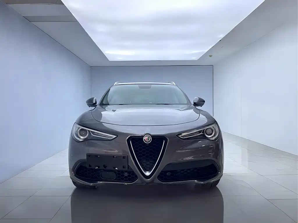 Alfa Romeo Stelvio 2019 — фото 2