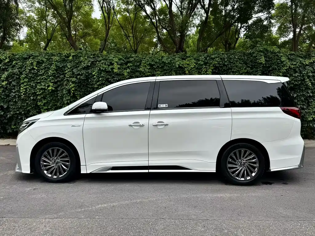 GAC Trumpchi M8 2021 — фото 3