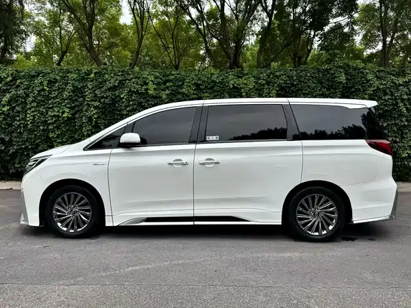 GAC Trumpchi M8 2021