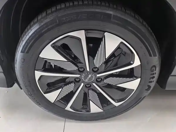 BYD Song PLUS New Energy 2024