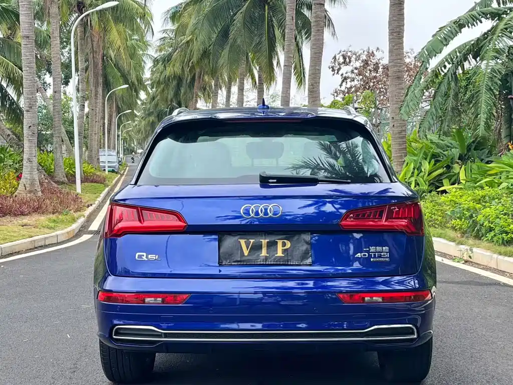 Audi Q5L 2019