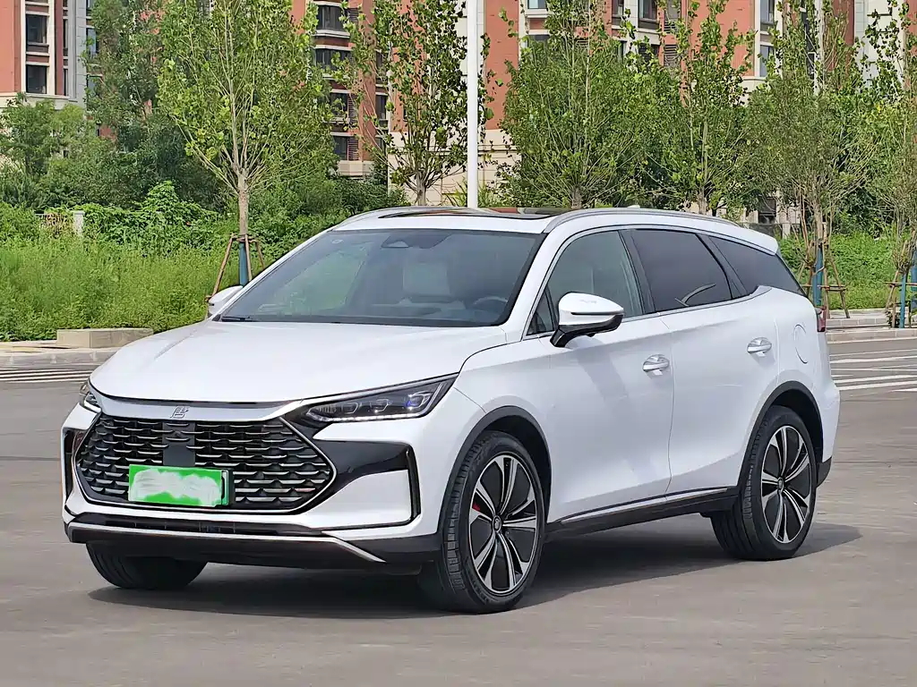 BYD Tang New Energy 2024 — фото 3