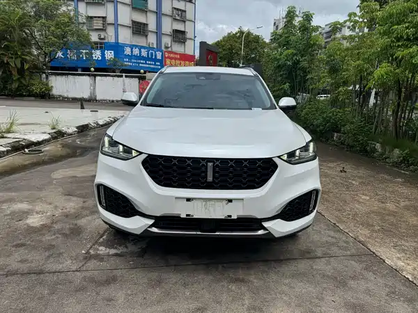 Wey VV6 2020