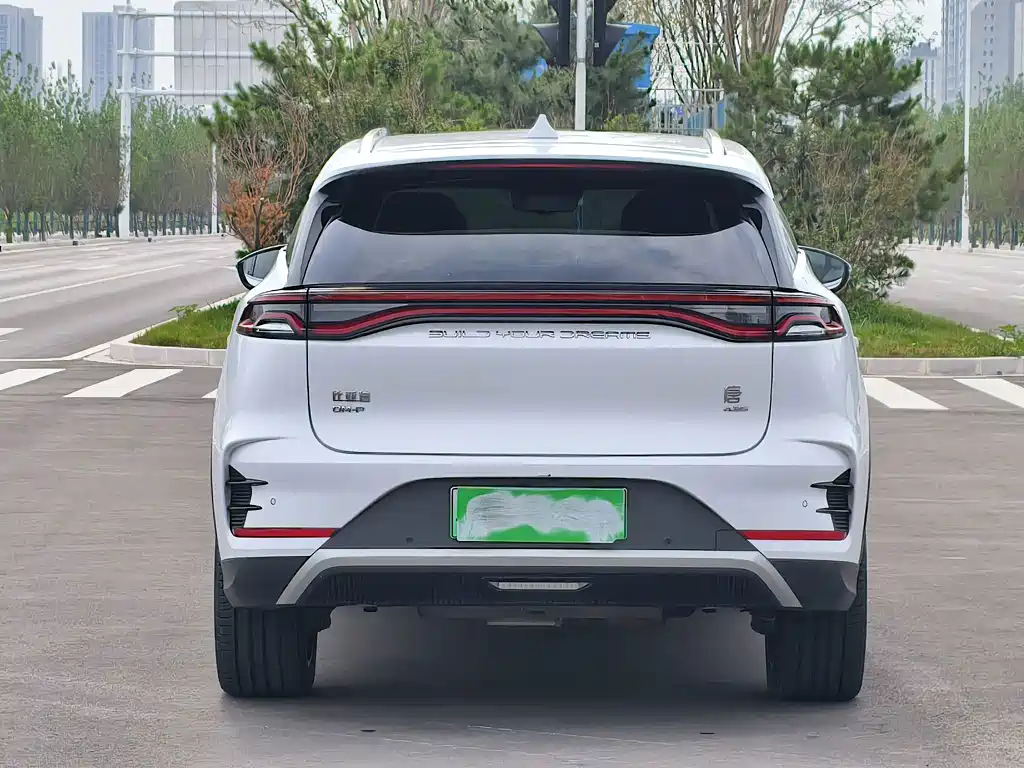 BYD Tang New Energy 2024 — фото 5