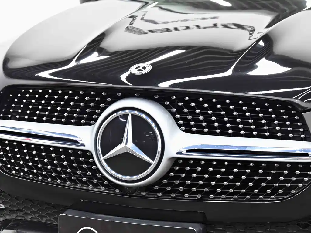 Mercedes-Benz GLE New Energy 2022 — фото 13