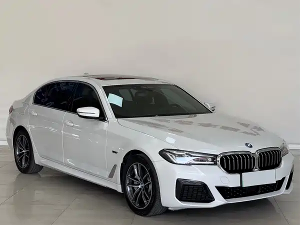 BMW 5 Series New Energy 2022