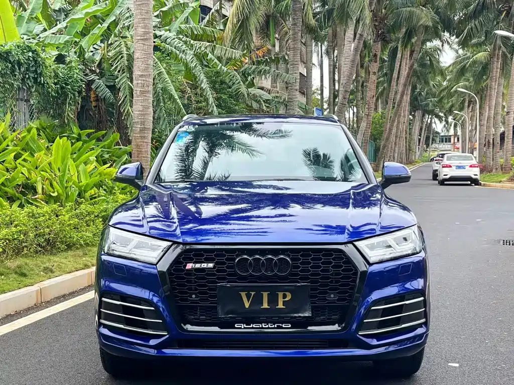 Audi Q5L 2019