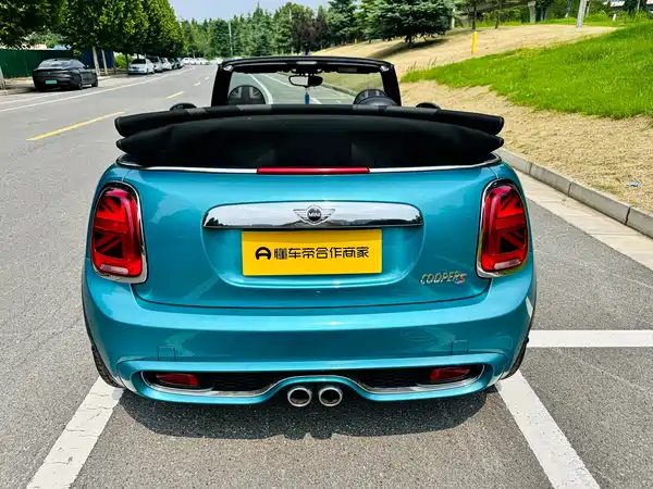 MINI MINI 2018