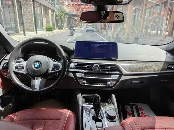 BMW 5 Series New Energy 2021