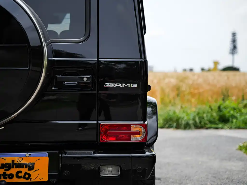 Mercedes-Benz G-Class AMG 2009 — фото 13