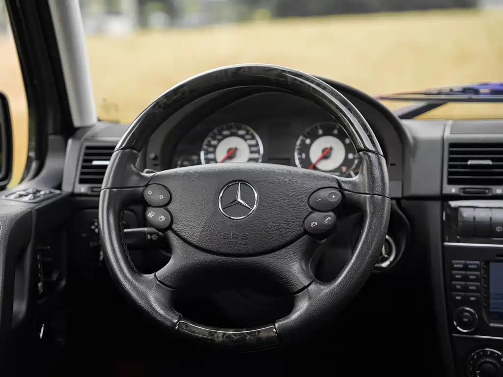 Mercedes-Benz G-Class AMG 2009 — фото 15