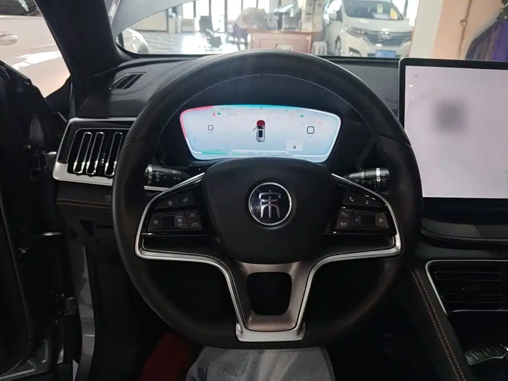 BYD Song PLUS New Energy 2022 — фото 11
