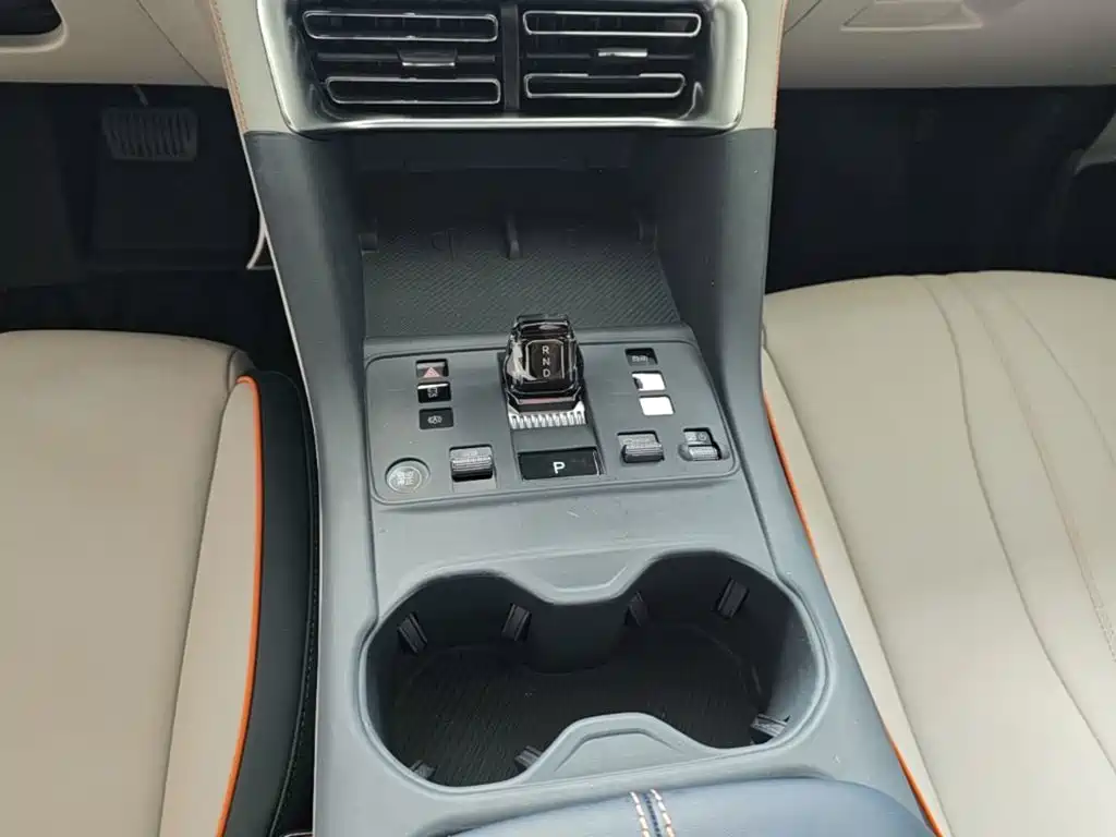 BYD Song PLUS New Energy 2024 — фото 14