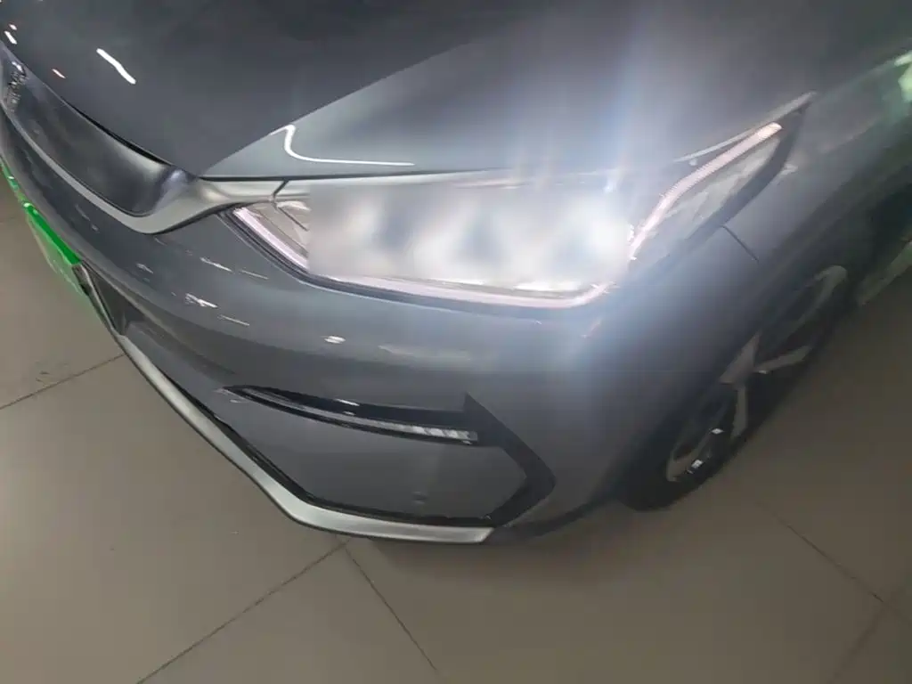 BYD Song PLUS New Energy 2021 — фото 24