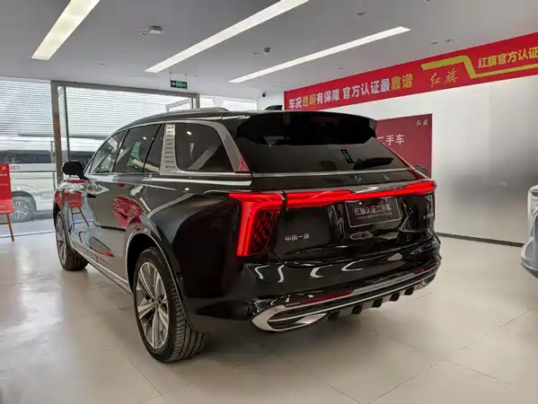 Hongqi E-HS9 2022