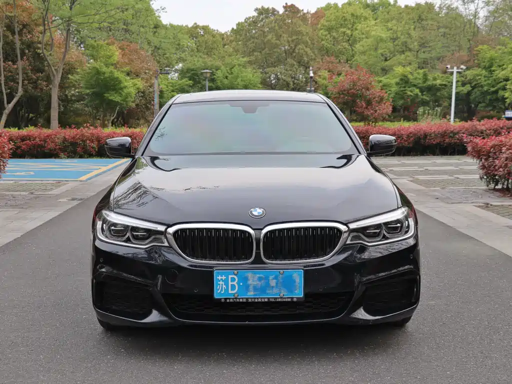 BMW 5 Series 2020 — фото 1