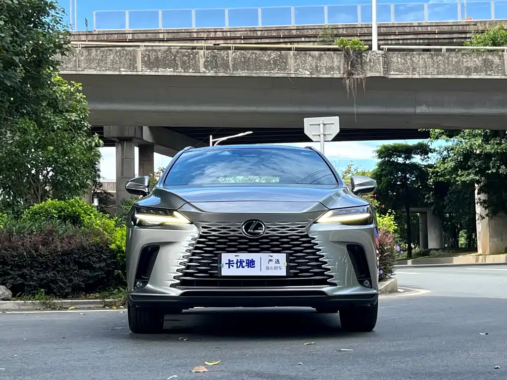 Lexus RX 2023 — фото 2