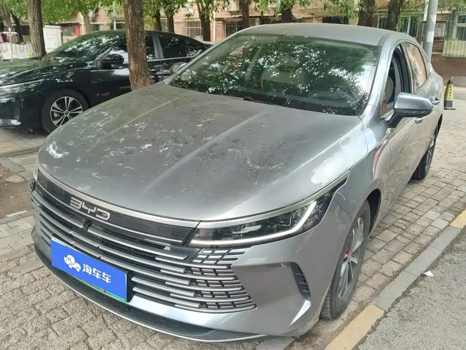 BYD Destroyer 05 2024 — фото 1