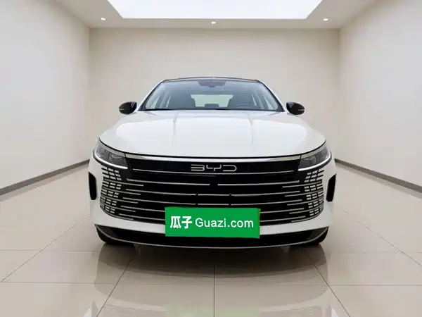 BYD Destroyer 05 2024