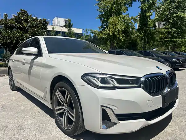 BMW 5 Series 2020