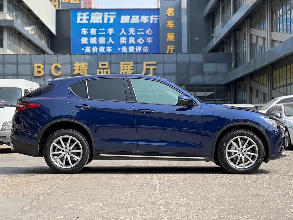 Alfa Romeo Stelvio 2019 — фото 5