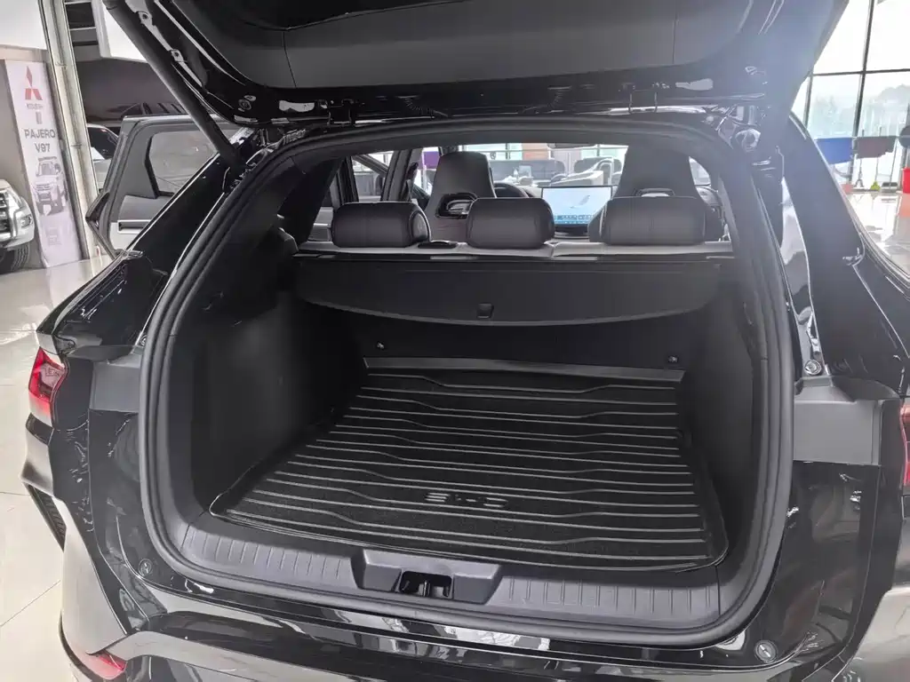 BYD Song PLUS New Energy 2024 — фото 10
