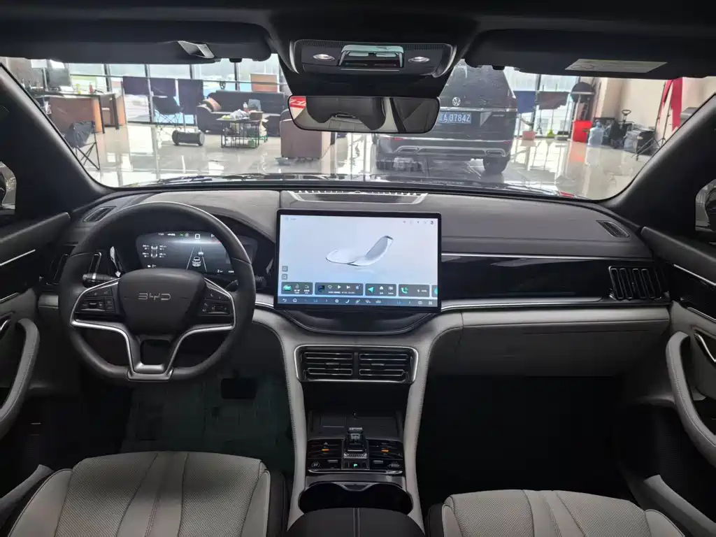 BYD Song PLUS New Energy 2024 — фото 23