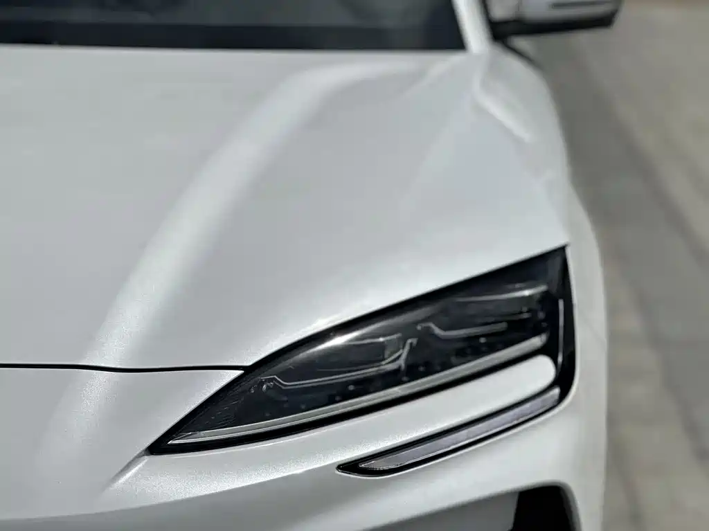 BYD PLUS New Energy 2024 — фото 12