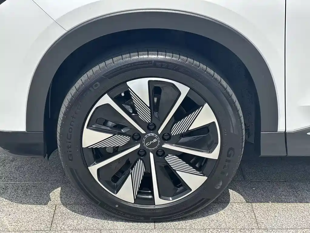 BYD PLUS New Energy 2024 — фото 16