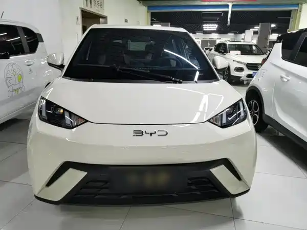 BYD Seagull 2024