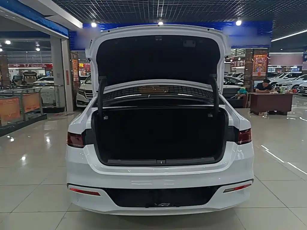 BYD Qin PLUS 2025 — фото 19