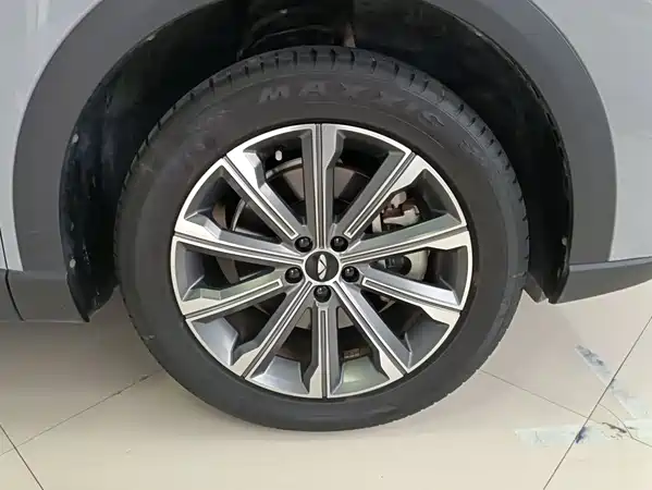 Chery Fengyun T9 2024