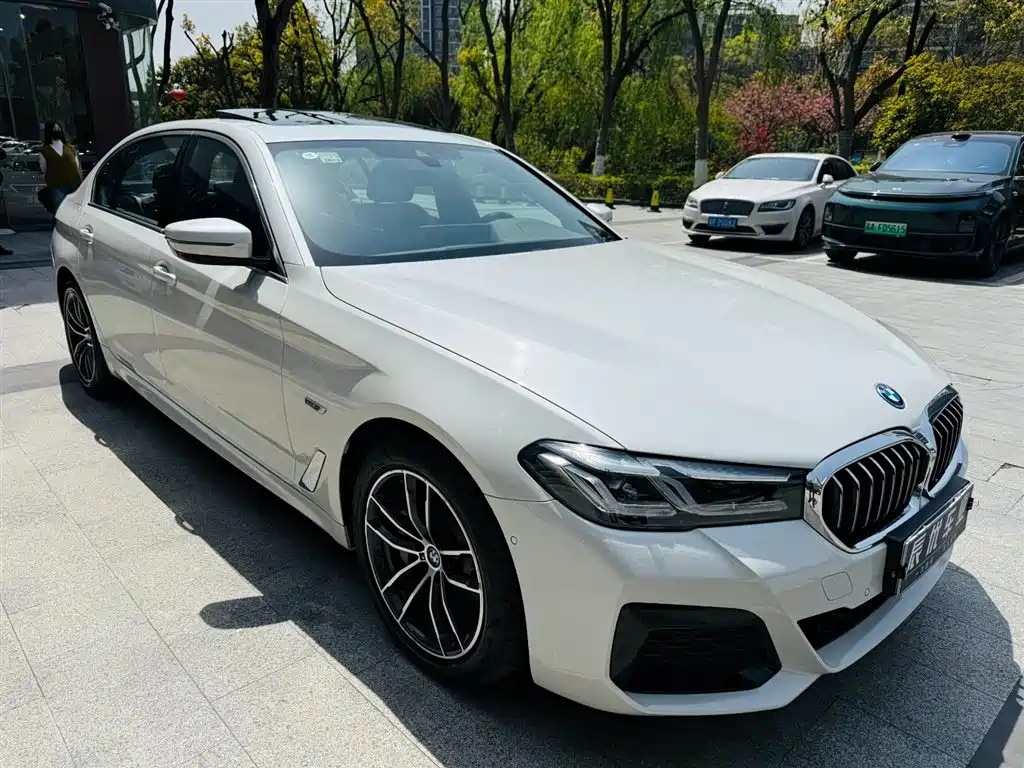 BMW 5 Series New Energy 2021 — фото 6