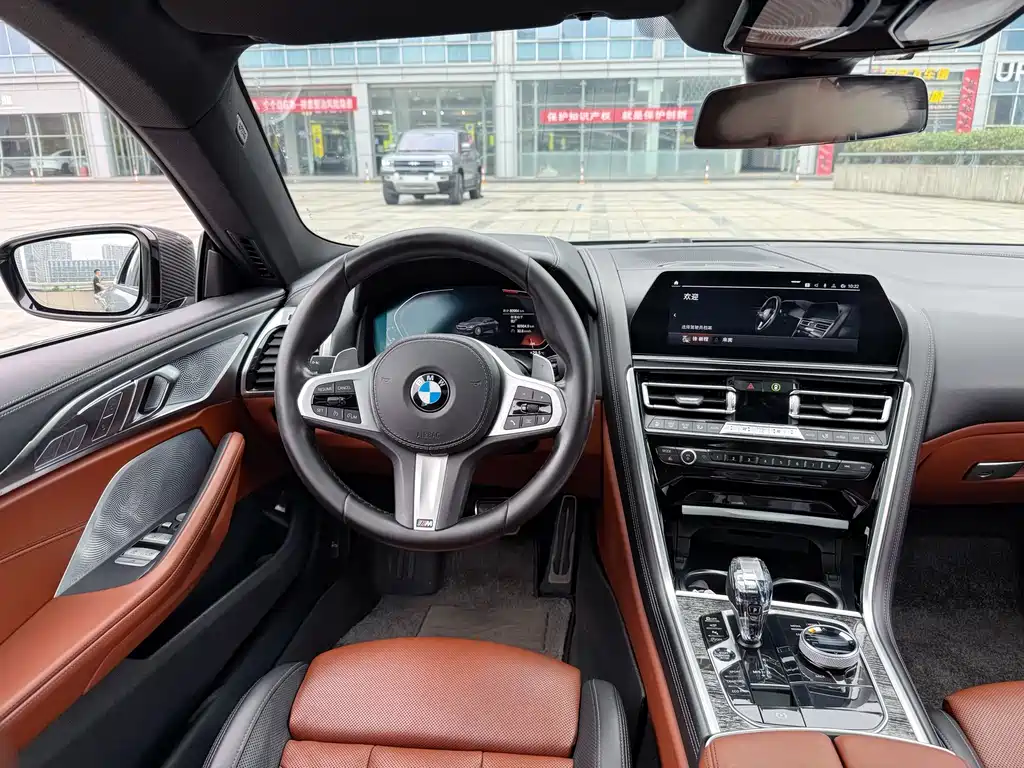 BMW 8 Series 2021 — фото 11