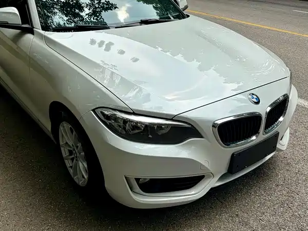 BMW 2 Series 2016