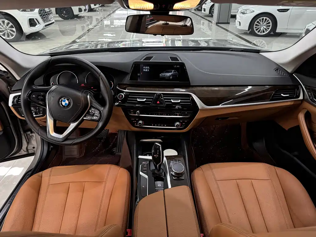 BMW 5 Series 2017 — фото 9