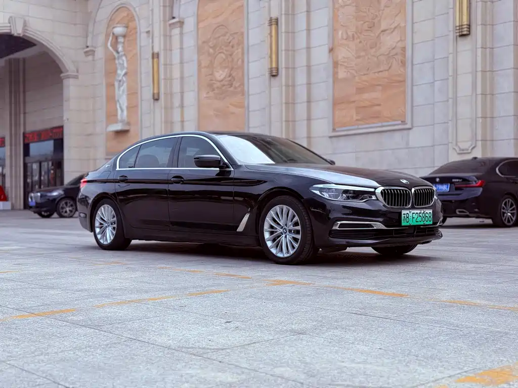 BMW 5 Series New Energy 2019