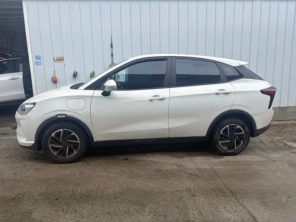 Neta V 2021