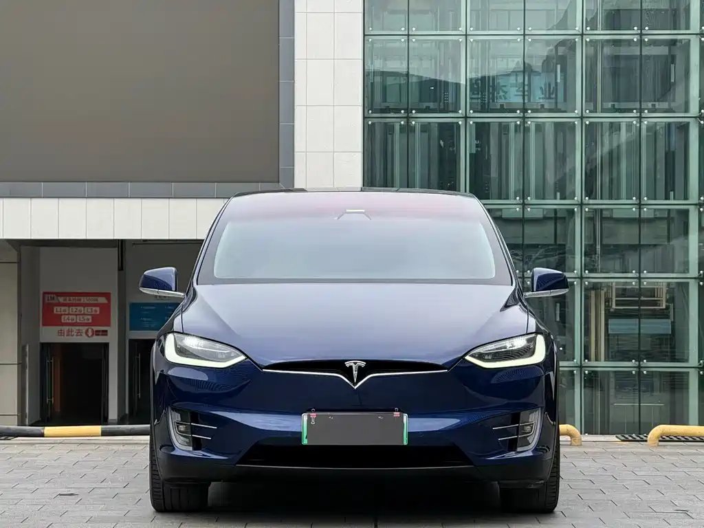 Tesla Model X 2018 — фото 2