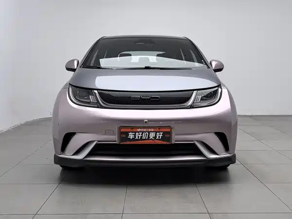BYD Dolphin 2022