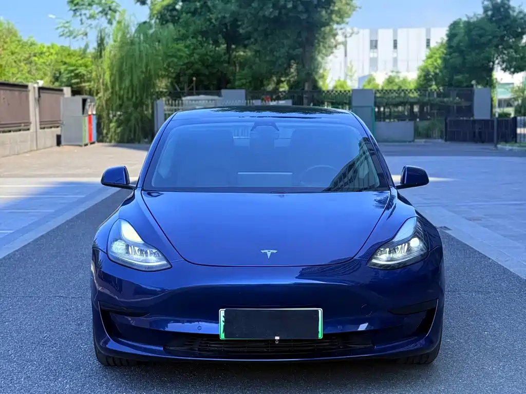 Tesla Model 3 2021 — фото 2
